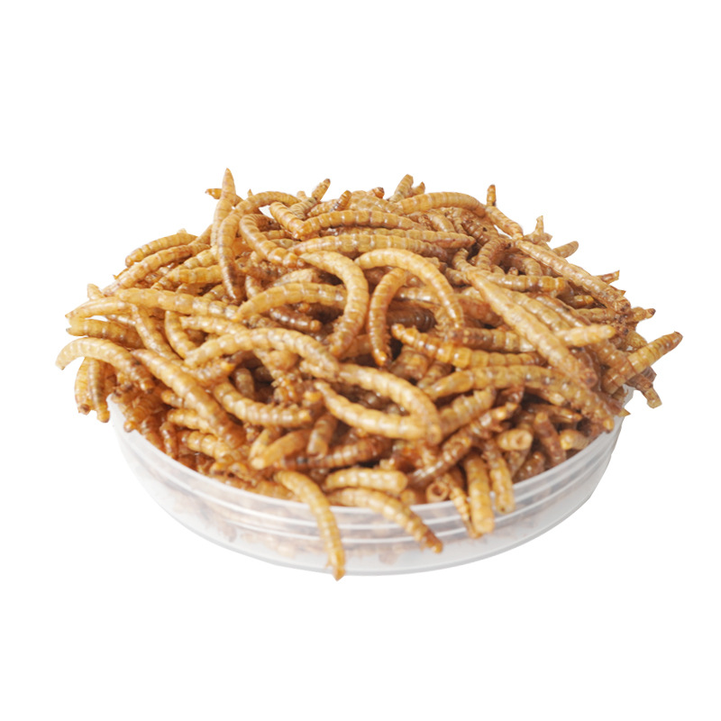 Food Protein Snacks - ขนมโปรตีนสูง อาหารแฮมสเตอร์ อาหารนก เม่น หนูตะเภา อะโรวาน่า