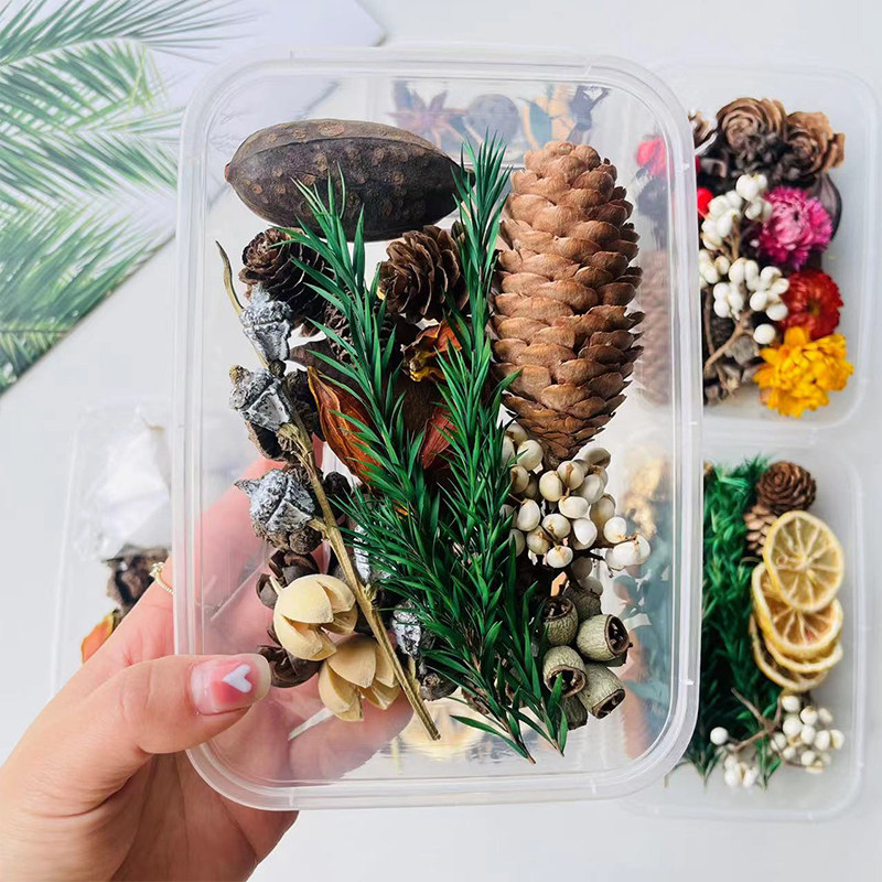 ชุดอุปกรณ์ตกแต่งสไตล์ป่าธรรมชา - Dried Fruit Mix บทวิจารณ์และราคา