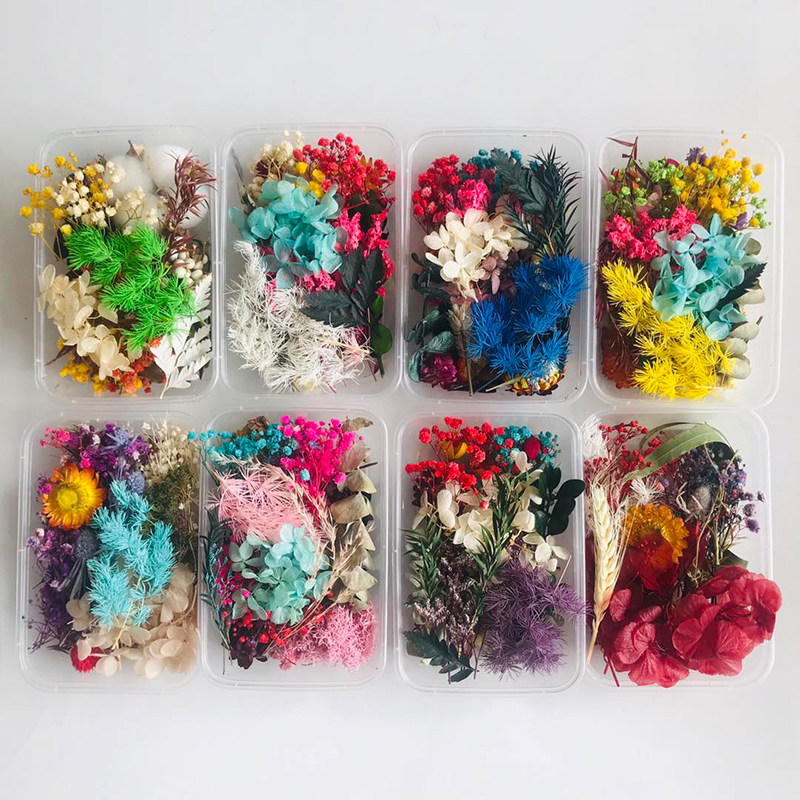 ชุดอุปกรณ์ตกแต่งสไตล์ป่าธรรมชา - Dried Fruit Mix บทวิจารณ์และราคา
